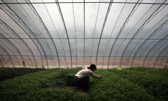 agricultura-ecologica-reuters-665.jpg
