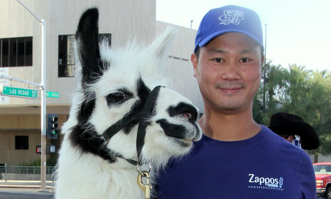 sonrie-alpaca.jpg