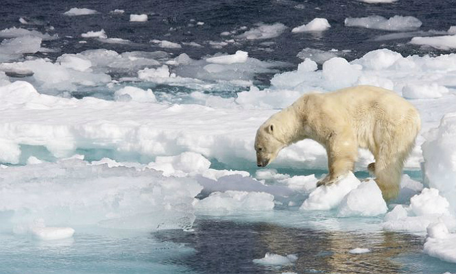 oceano-artico-deshielo.jpg