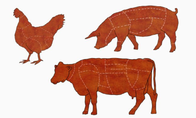 vaca-cerdo-gallina.jpg