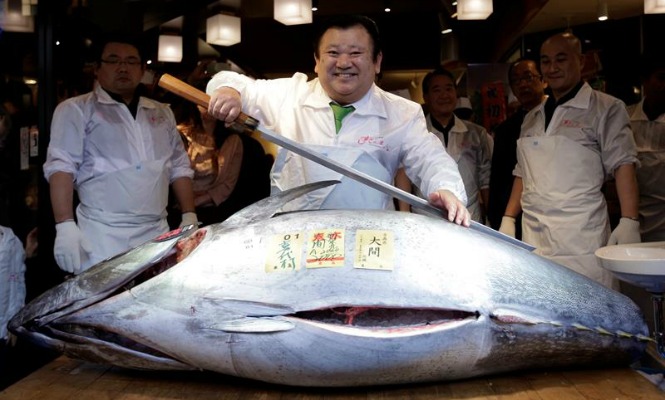 atun-japon.jpg