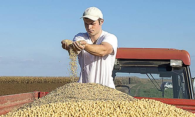 campo-emprender-665.jpg