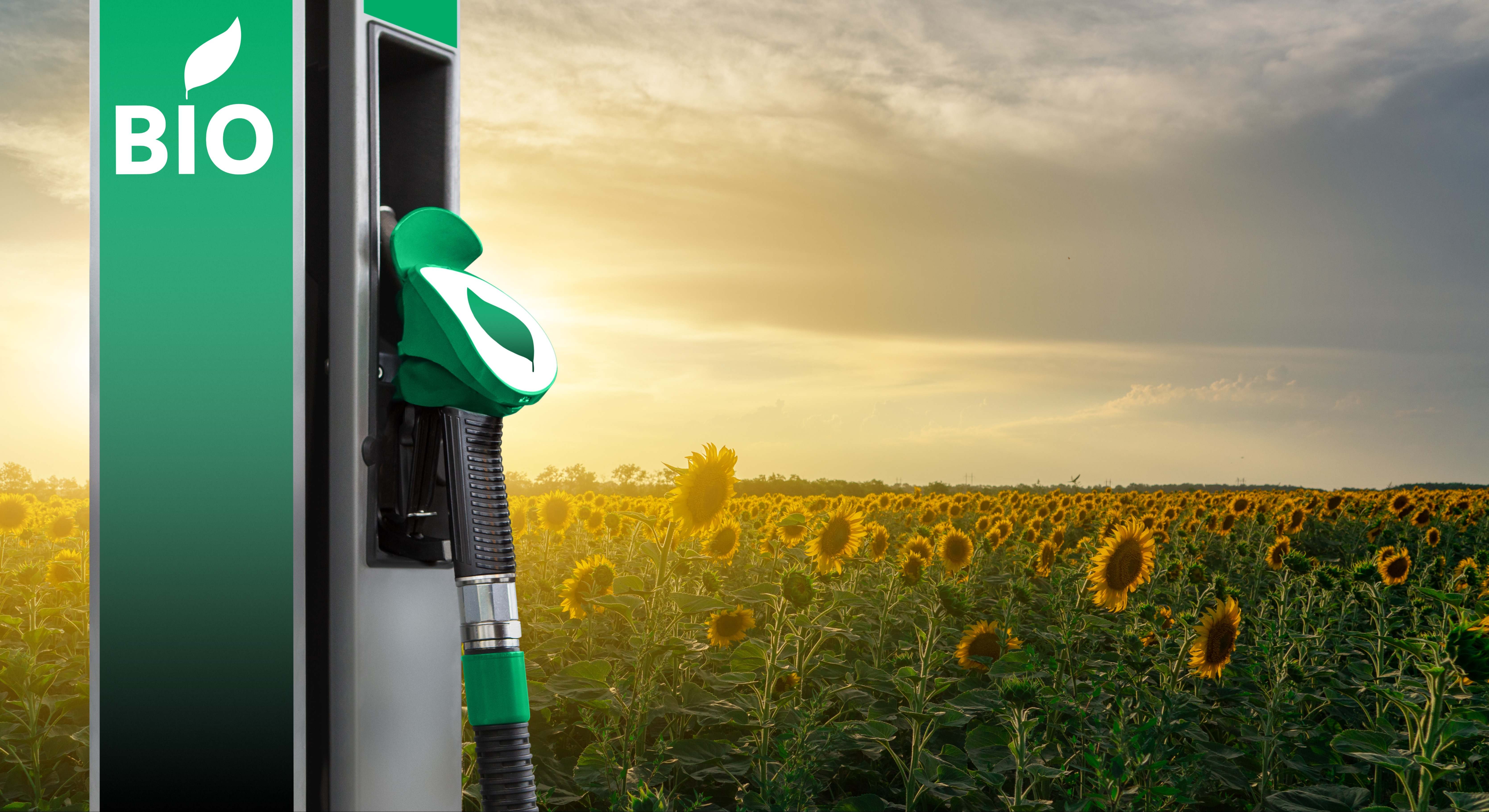 El colonialismo energético de Europa pone en jaque la transición verde