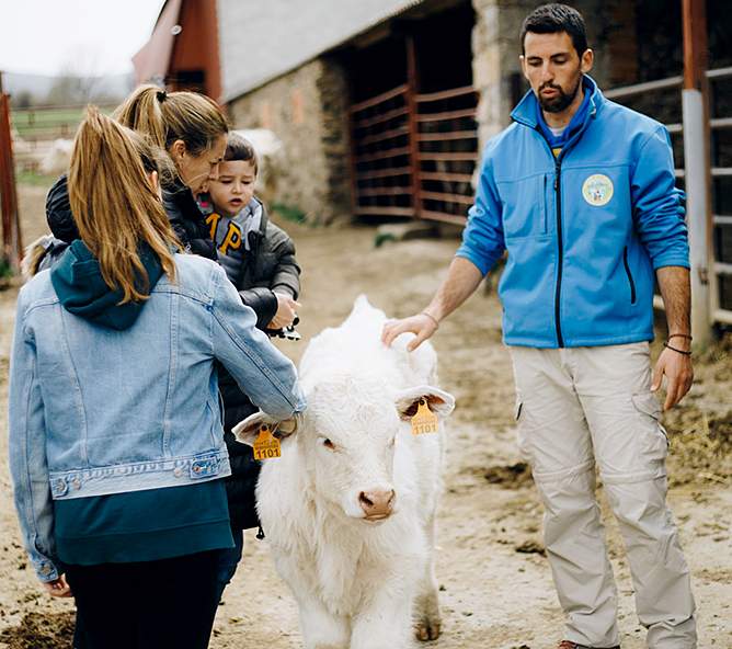 agro-turismo-rural-campo.jpg