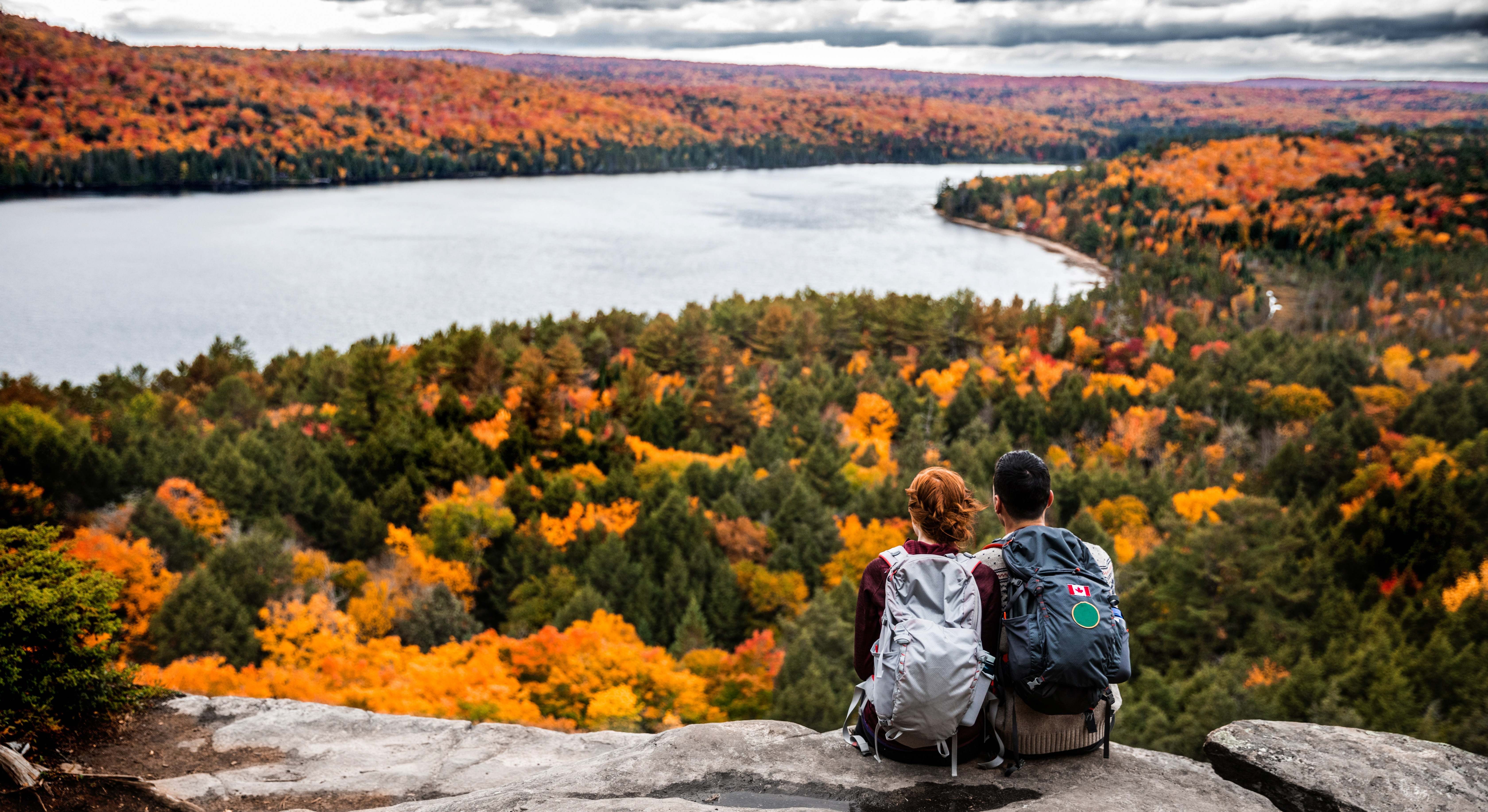 Una pareja mirando el bosque desde las alturas