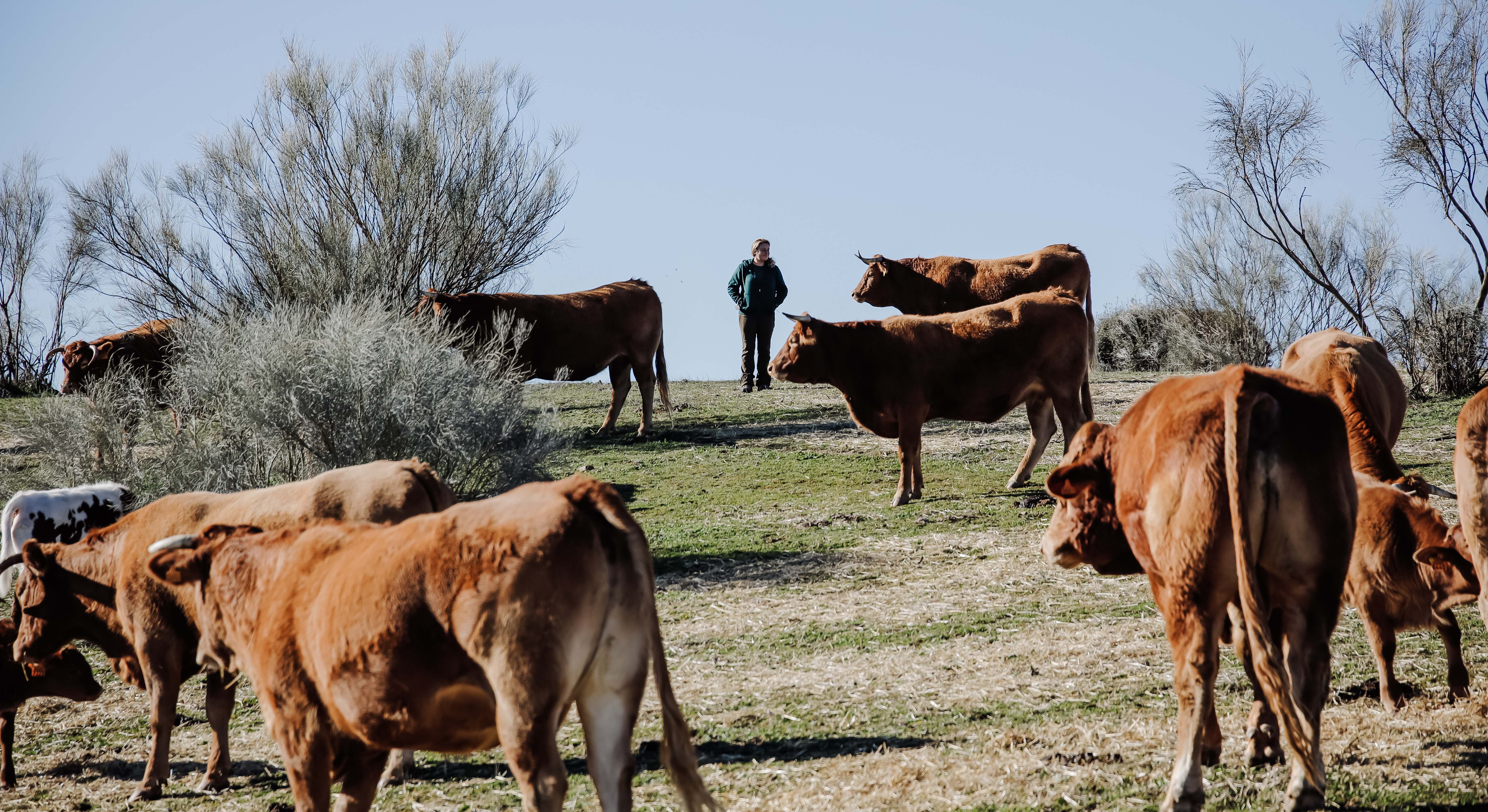 mujer agricultura aragon