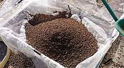 Tebrio invertirá 50 millones en Salamanca en una planta de cría de insectos para alimentación animal