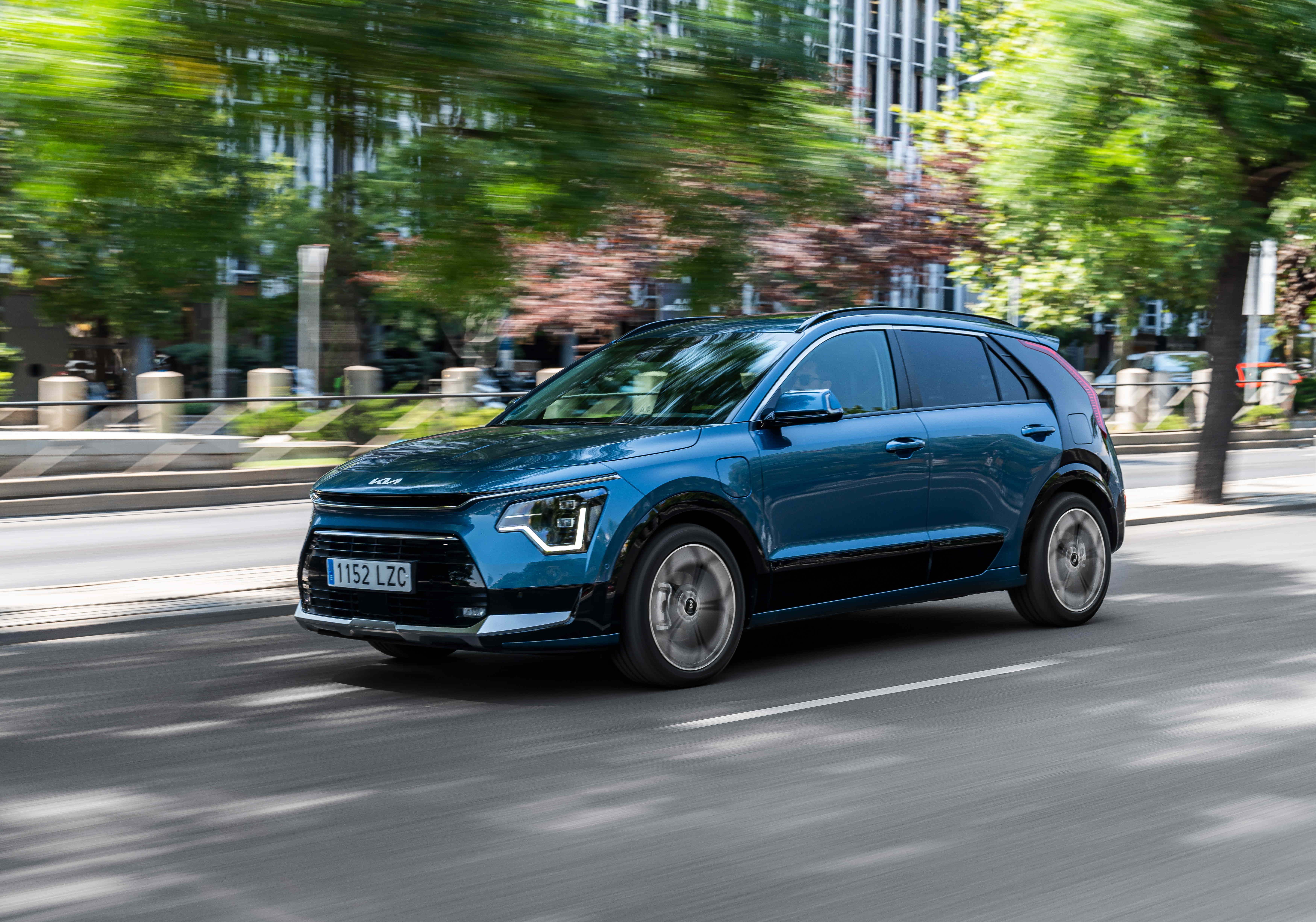 NUEVOKIANIRO8.JPG
