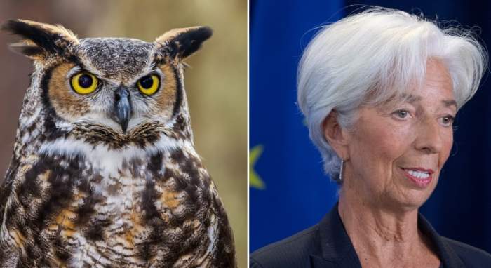 lagarde-buho-t.jpg