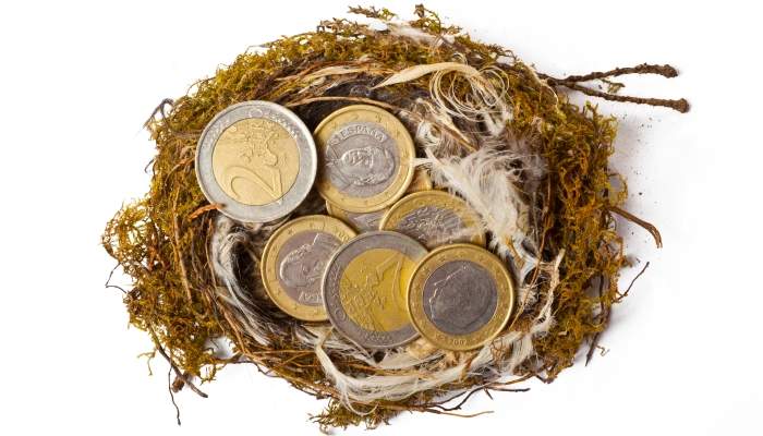 euros-nido-inflacion.jpg