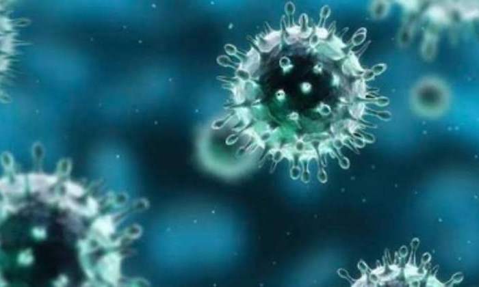 700x420_Coronavirus-2-Especial.jpg