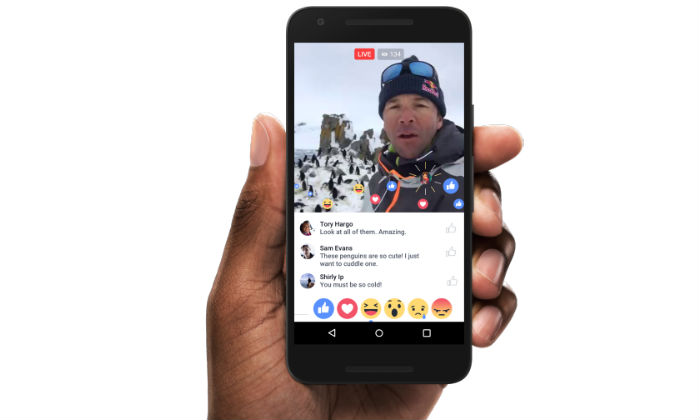 fb-live.jpg