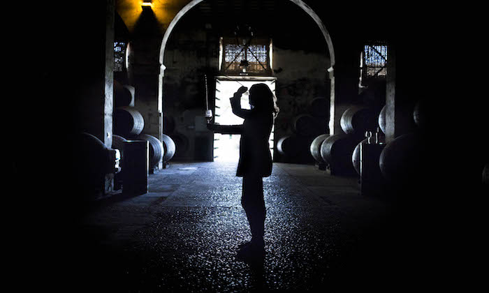 bodegas