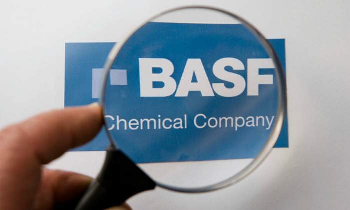 basf-lupa.jpg