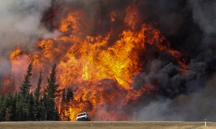 fuego-alberta.jpg
