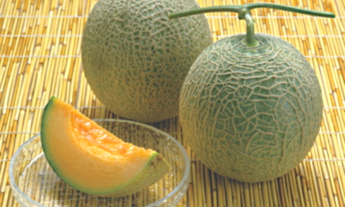 melon-yubari.jpg