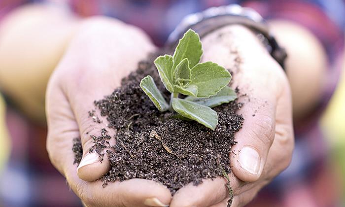 tierra-mano-istock-700.jpg
