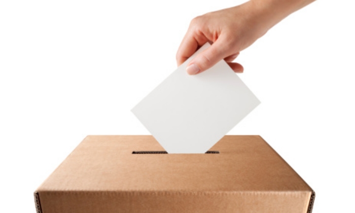 votar-caja.jpg