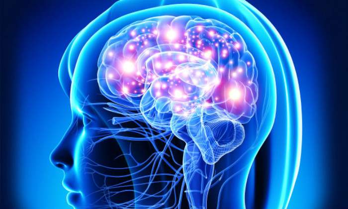 cerebro-luminoso-700420.jpg