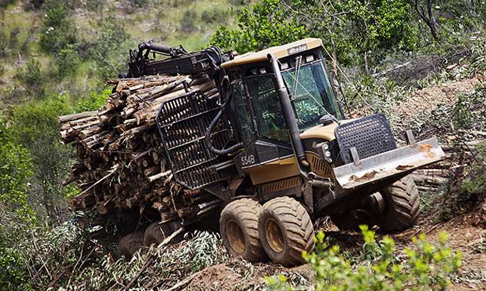 lena-tractor-700.jpg