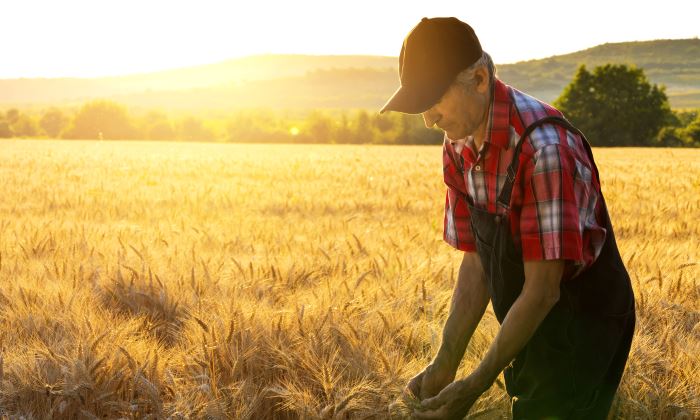 agricultura-700-istock.jpg