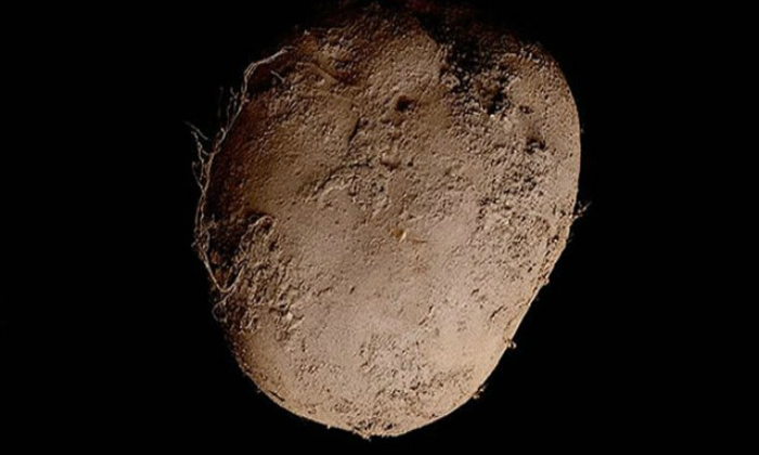 patata-marciana.jpg