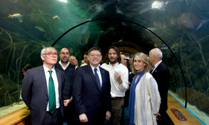TIBURONES222.jpg