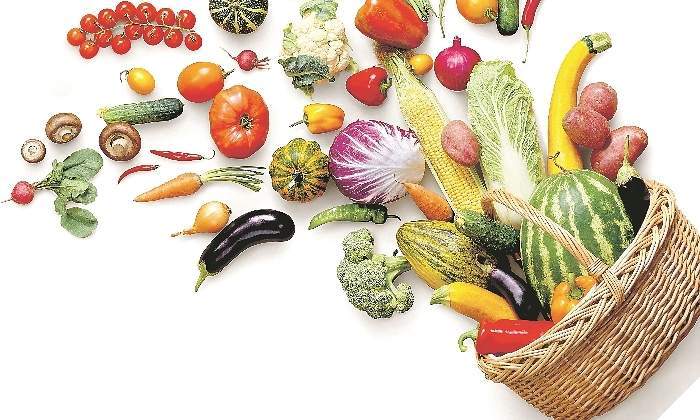 alimentacion.jpg