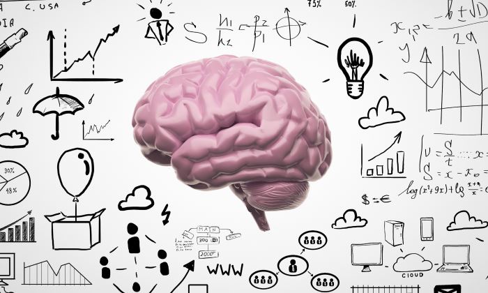 cerebro-pensamiento-700.jpg