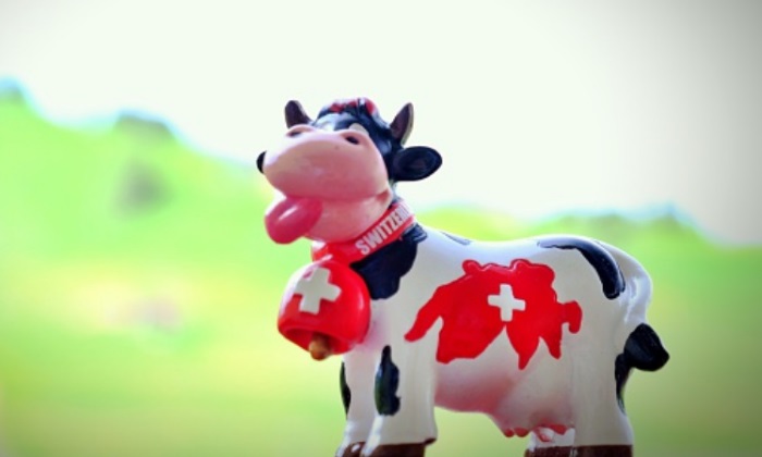 suiza-vacas-getty.jpg