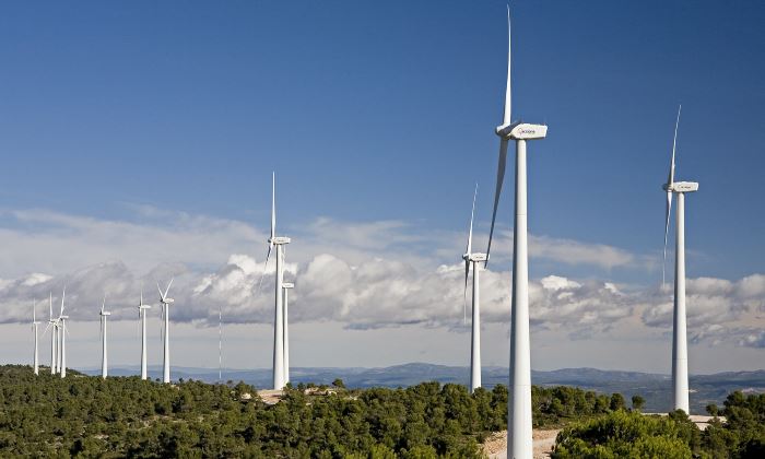 eolica-energia-parque-700.jpg