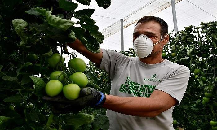 700x420_Agricultor.jpg