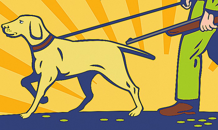 perro-cazador-700.jpg
