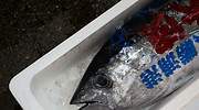 Tokio dilapida 3.250 millones en la nueva ubicación del histórico mercado de pescado de Tsukiji