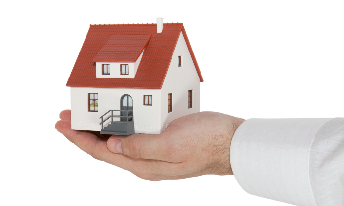 vivienda-mano.png