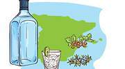 Una ginebra por cada Comunidad Autónoma para celebrar su día internacional: ¿Las conoce todas?