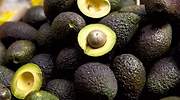 La palta, el oro verde que seca y amenaza la supervivencia de la zona central de Chile