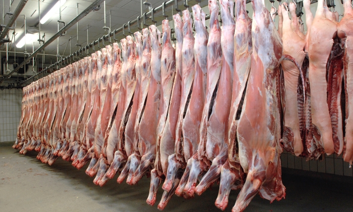 carne-despiece.jpg