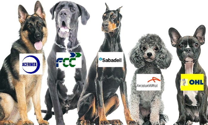 perros-bolsa-700.jpg
