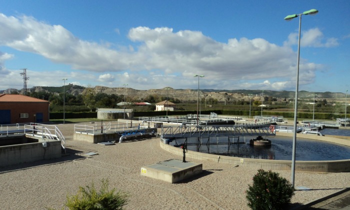 planta-agua.jpg