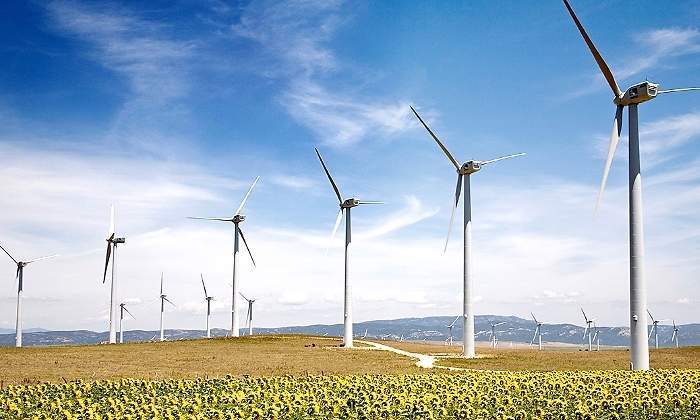 700x420_renovables-eolica-girasoles.jpg
