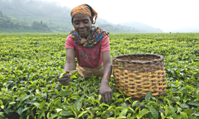 ruanda-te-mujer.jpg