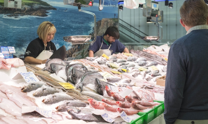 pescaderia-eE.jpg