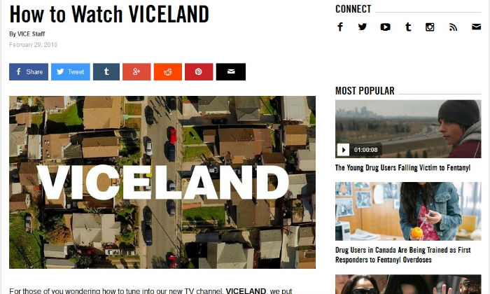 vice.jpg