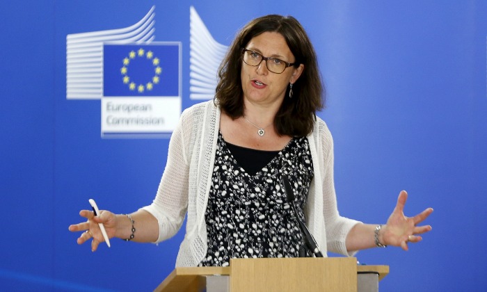 celia-Malmstrom-comision.jpg