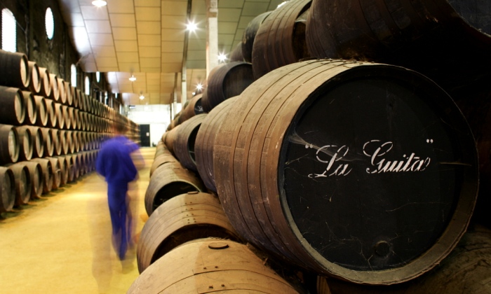 manzanilla