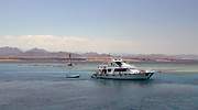 ¿Puedo veranear en mi barco? El objetivo que persigue la patronal para mitigar el golpe del coronavirus