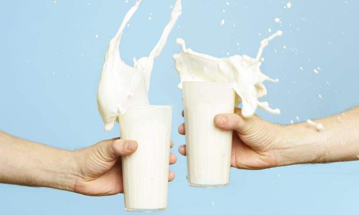 leche-brindar-istock-700.jpg
