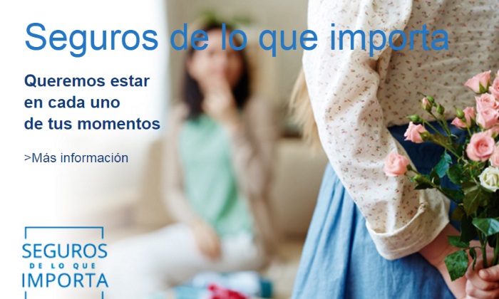 seguros-importa.jpg