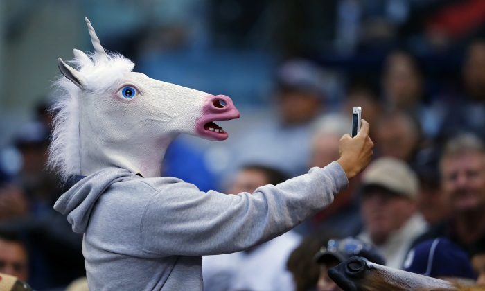 unicornio-cuerno.jpg